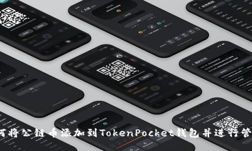 如何将公链币添加到TokenPocket钱包并进行管理？