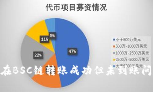 解决TokenPocket在BSC链转账成功但未到账问题及相关注意事项