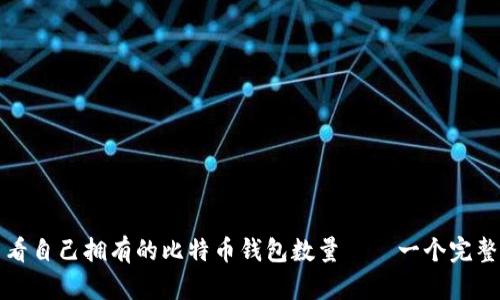 如何查看自己拥有的比特币钱包数量——一个完整的指南