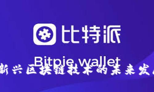 标题
央链：新兴区块链技术的未来发展方向