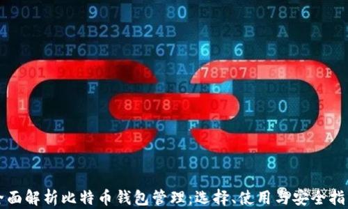 
全面解析比特币钱包管理：选择、使用与安全指南