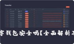 区块链数字钱包安全吗？全面解析及使用指南