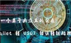 思考一个易于大众且的优质tpWallet 转 USDT 错误转