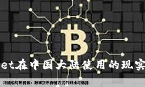 tpWallet在中国大陆使用的现实与未来