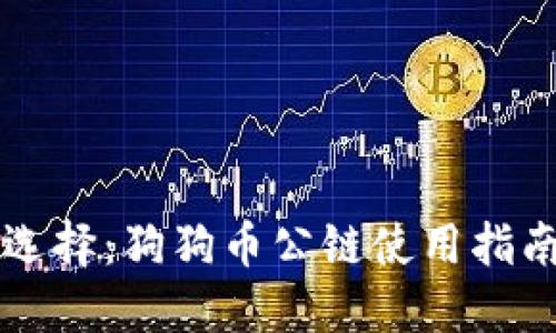 货币钱包的选择：狗狗币公链使用指南与安全提示