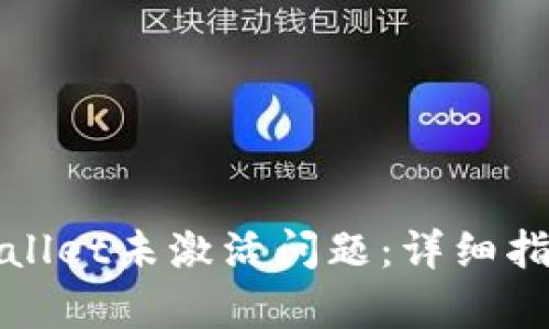 如何解决tpWallet未激活问题：详细指南与解决方案