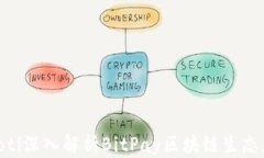 diaoti深入解析BitPay区块链生态应用