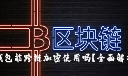 标题: 硬件钱包能跨链加密使用吗？全面解析与实践指南