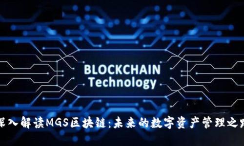 深入解读MGS区块链：未来的数字资产管理之路