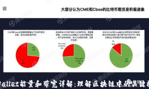 
tpWallet能量和带宽详解：理解区块链中的关键概念