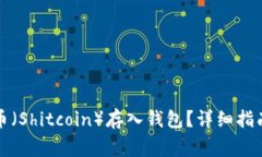 如何安全地将屎币（Shitcoin）存入钱包？详细指南