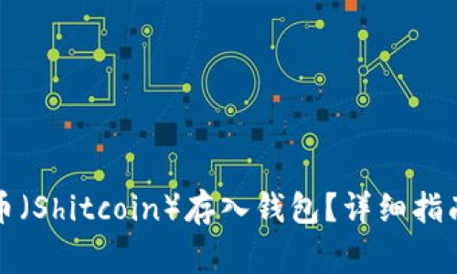 如何安全地将屎币（Shitcoin）存入钱包？详细指南与常见问题解析