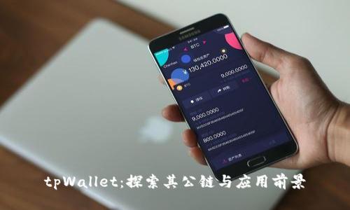 tpWallet：探索其公链与应用前景