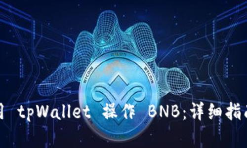 如何高效使用 tpWallet 操作 BNB：详细指南与实用技巧