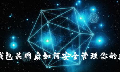 虚拟币钱包关网后如何安全管理你的数字资产