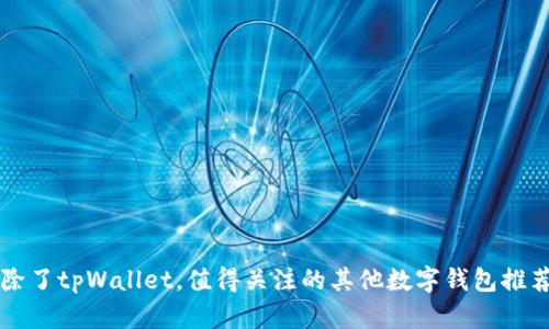 除了tpWallet，值得关注的其他数字钱包推荐