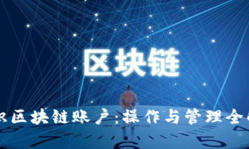 初识区块链账户：操作与管理全解析