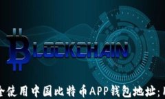 如何安全使用中国比特币APP钱包地址：用户指南