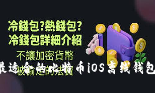 如何选择最适合的比特币iOS离线钱包：全面指南