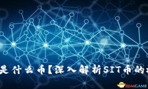 区块链SIT是什么币？深入解析SIT币的概念与价值