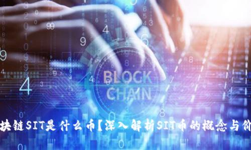 区块链SIT是什么币？深入解析SIT币的概念与价值