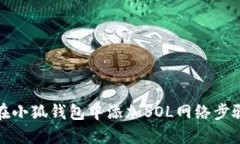 如何在小狐钱包中添加S