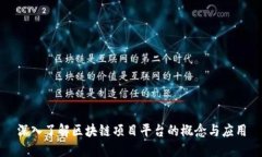 深入了解区块链项目平台