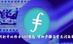 如何打开比特币DAT钱包：详细步骤与常见问题解