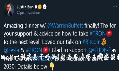 tpWallet到底是干啥的？能为用户带来哪些便利？