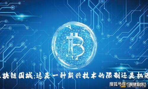 区块链围城：这是一种新兴技术的限制还是机遇？