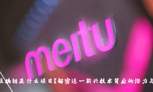BAT区块链是什么项目？解密这一新兴技术背后的潜力与应用