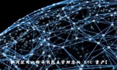 如何使用比特币钱包来管