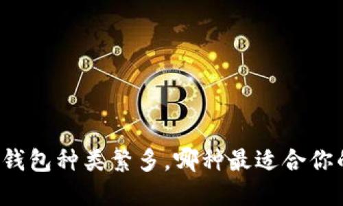 区块链钱包种类繁多，哪种最适合你的需求？
