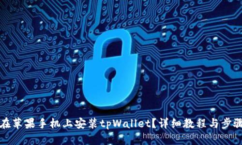 如何在苹果手机上安装tpWallet？详细教程与步骤解析