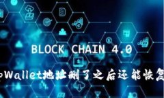 : tpWallet地址删了之后还能
