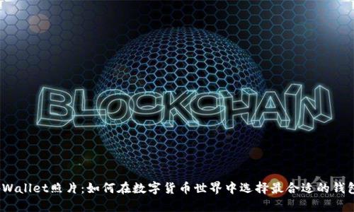 tpWallet照片：如何在数字货币世界中选择最合适的钱包？