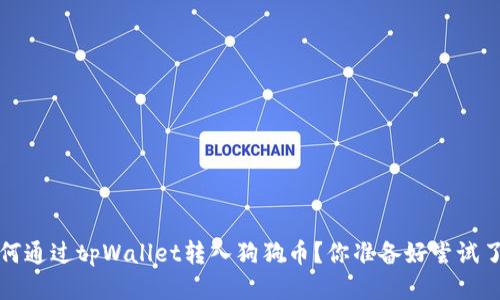  如何通过tpWallet转入狗狗币？你准备好尝试了吗？