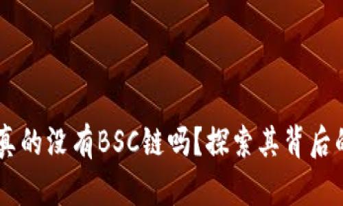 电脑版tpWallet真的没有BSC链吗？探索其背后的原因与解决方案