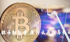 TP钱包提币打包中：是什么
