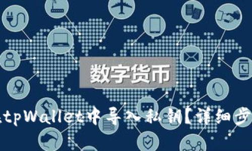 如何在tpWallet中导入私钥？详细步骤解析
