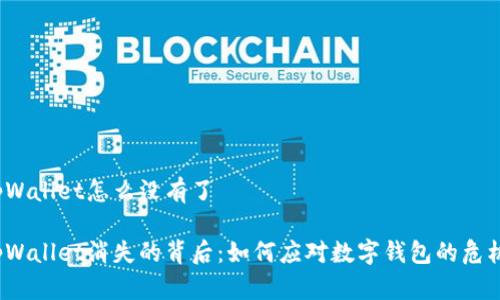 tpWallet怎么没有了

tpWallet消失的背后：如何应对数字钱包的危机？