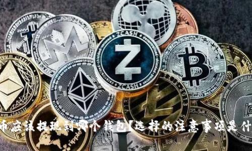 OP币应该提现到哪个钱包？选择的注意事项是什么？