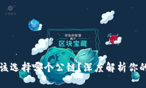 tpWallet该选择哪个公链？深度解析你的最佳选择
