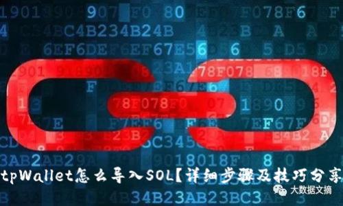 tpWallet怎么导入SOL？详细步骤及技巧分享