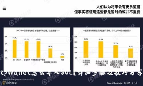 tpWallet怎么导入SOL？详细步骤及技巧分享