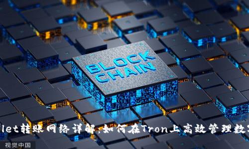 tpWallet转账网络详解：如何在Tron上高效管理数字资产