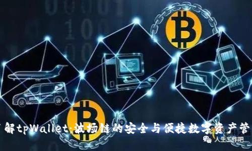 深入了解tpWallet：波场链的安全与便捷数字资产管理工具