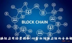 :区块链应用场景揭秘：从