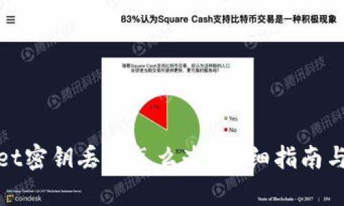 : tpWallet密钥丢失怎么办？详细指南与解决方案