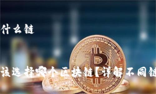 提币到tpWallet选什么链

:
提币到tpWallet应该选择哪个区块链？详解不同链的优势与适用场景